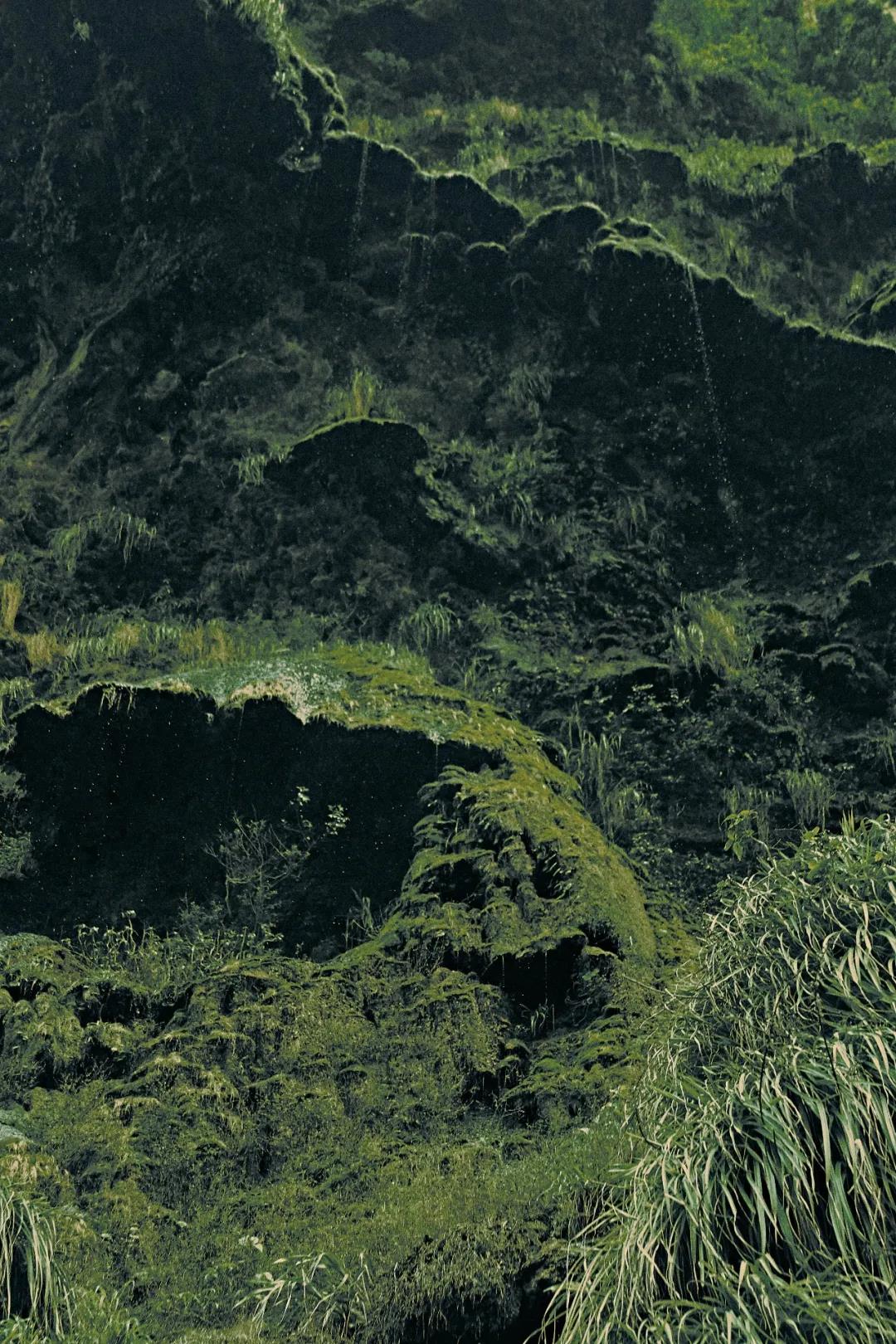 1610068686387756.jpg
