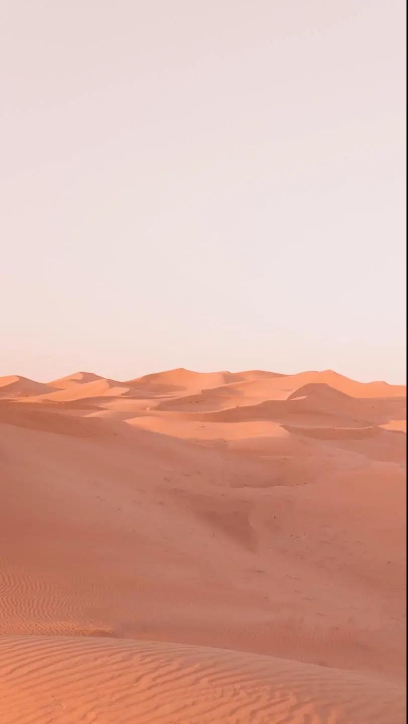 1613962949494285.jpg
