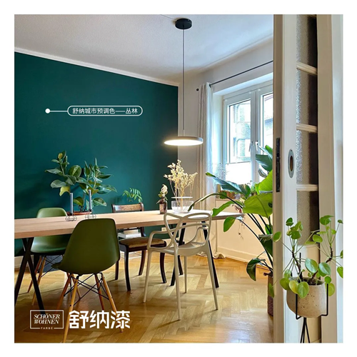 舒纳案例 步入婚姻殿堂前，先把家折腾自己喜欢的样子588.png