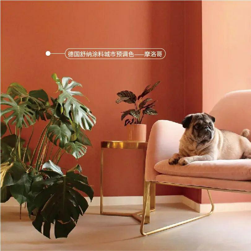 舒纳案例 住进色彩小屋，家居设计师家的色彩发挥168_好压看图.jpg